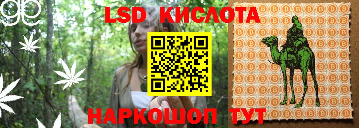 Волгоград  Наркотические марки  Вход с VPN  Наркотические марки 1,8мг 