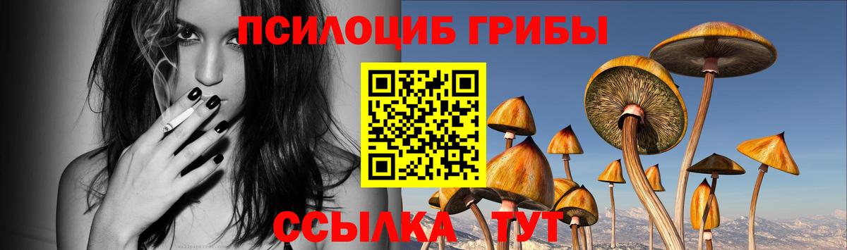 Галлюциногенные грибы MAGIC MUSHROOMS  Псилоцибиновые грибы Cubensis  Волгоград  Вход с VPN 