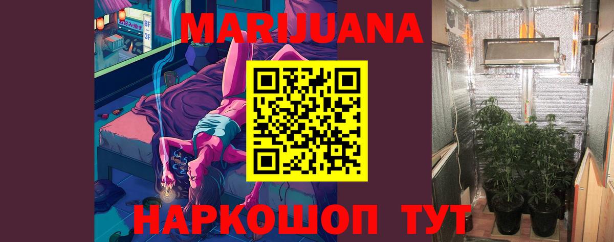 Бошки марихуана планчик  Вход с VPN  Канабис план  Бошки Шишки конопля  Волгоград 